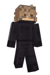 damurring Minecraft avatar full body