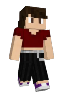 dan313 Minecraft avatar full body