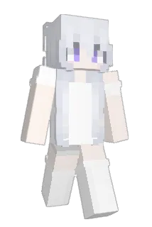 dan4__a Minecraft avatar full body