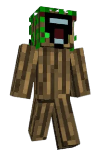 danchang Minecraft avatar full body