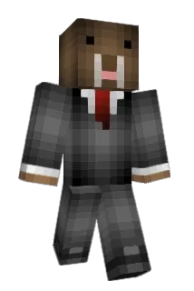 dancingdragons7 Minecraft avatar full body