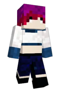 dandantwo Minecraft avatar full body