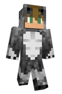 dandentist Minecraft avatar full body