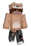 dani4oz Minecraft avatar full body