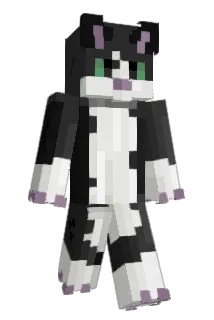 dani_devit0 Minecraft avatar full body