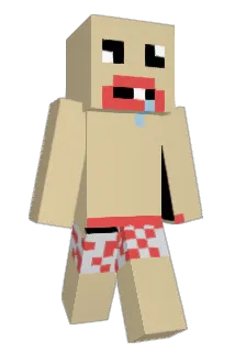 daniboy0208 Minecraft avatar full body
