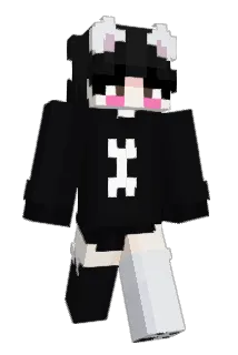 daniellefr_ Minecraft avatar full body