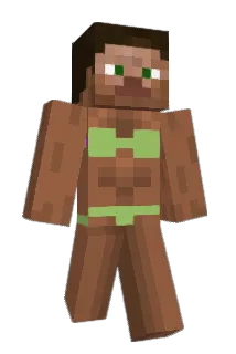 daniisusan Minecraft avatar full body