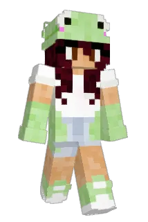 danimol Minecraft avatar full body
