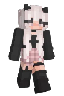 danini Minecraft avatar full body