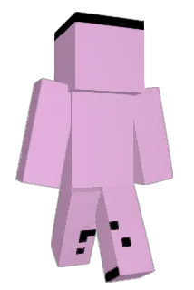danireland5 Minecraft avatar full body