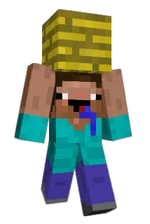 dankplank5 Minecraft avatar full body