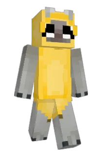 dansku12 Minecraft avatar full body