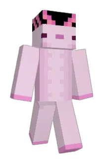 dany798 Minecraft avatar full body