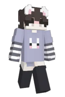 darcool Minecraft avatar full body