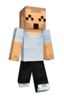 darii202 Minecraft avatar full body