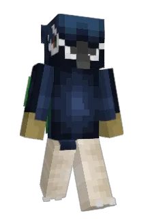 darkbaard Minecraft avatar full body