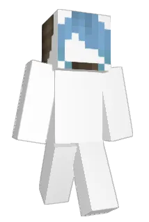 darksonic33 Minecraft avatar full body