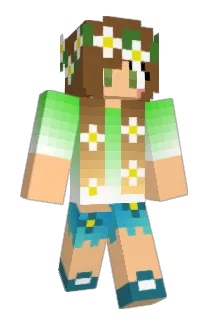 darlinnikki Minecraft avatar full body