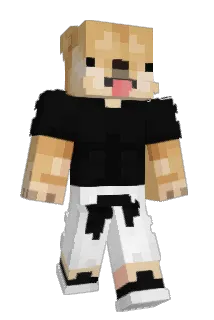 darreeen05 Minecraft avatar full body