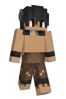 dartsandcraft Minecraft avatar full body
