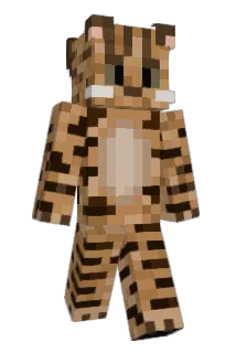 dartsmoker54 Minecraft avatar full body