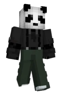 dasaasaal Minecraft avatar full body