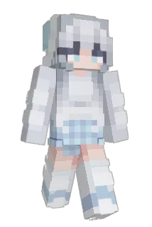 dashuiage Minecraft avatar full body