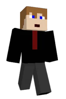 davidbcool Minecraft avatar full body