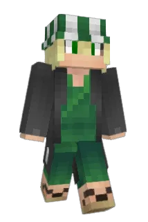 davidm1o1 Minecraft avatar full body