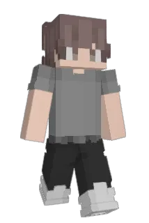 daviole13 Minecraft avatar full body