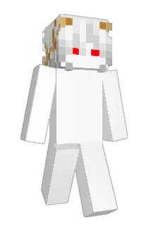 dawidriner Minecraft avatar full body