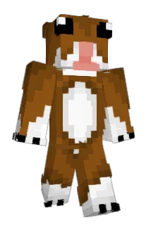 dawonn Minecraft avatar full body