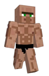 Player______'s Minecraft skin