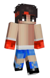 Front of Qescan's skin