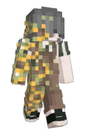 Skin preview