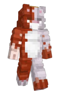 Front of p9x1's skin
