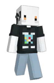 Skin preview