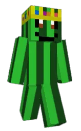 parsley and forest green Minecraft skin — Classic model