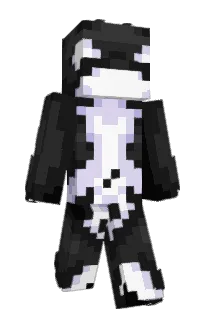 Front of vanevigilante's skin