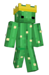 Front of Trixxyz's skin
