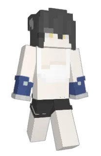 Front of xcorpindia's skin