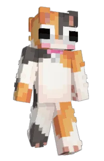 Front of emiqip's skin