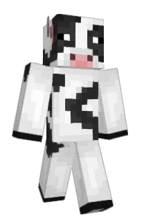 Front of werfdus's skin
