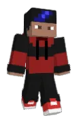 Linklan211