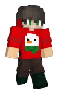 Front of EinNetro's skin
