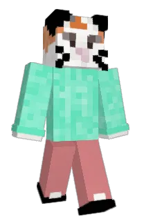 Front of imProtato's skin