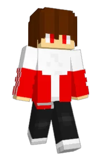 Front of S11PY's skin