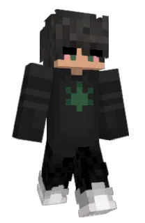 1______'s Minecraft skin