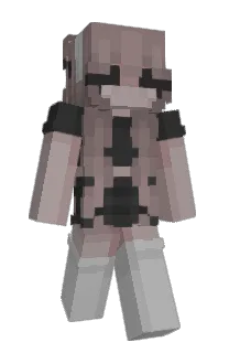 Front of pqndq's skin